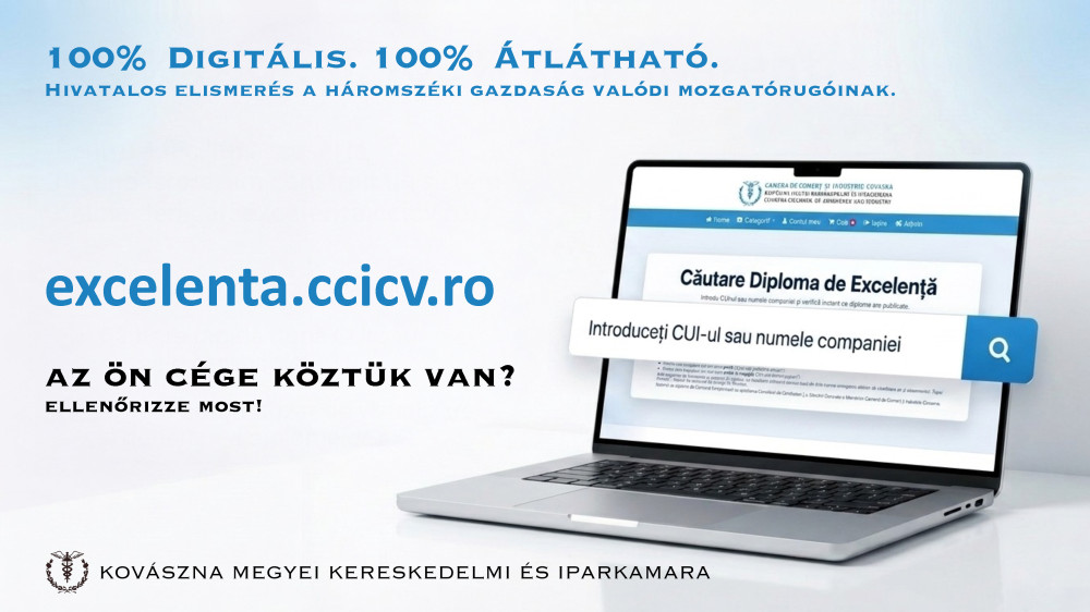 Helyi Üzleti Kiválóságok Rendszere